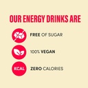 Pandy - Energy Drink - 330ml