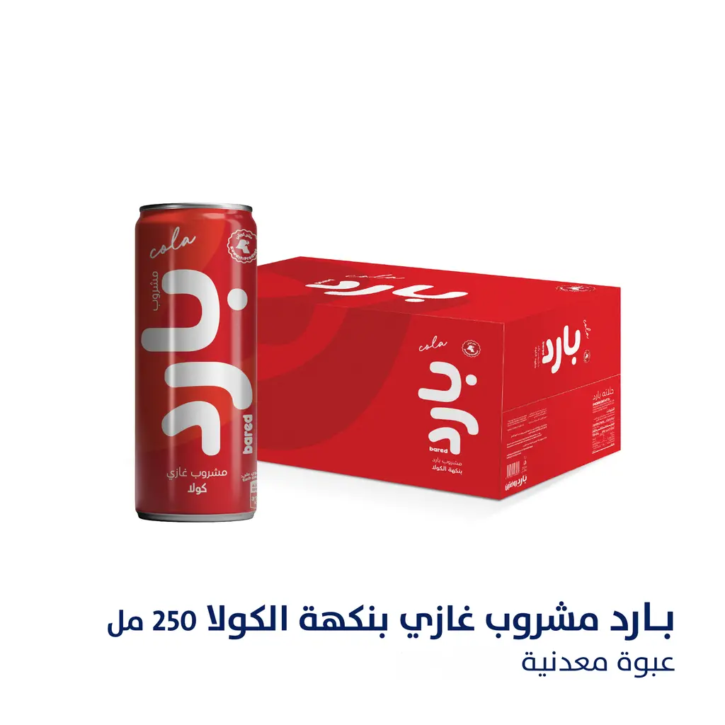  الروضتين - بارد مشروب غازي - 250 مل (كولا)